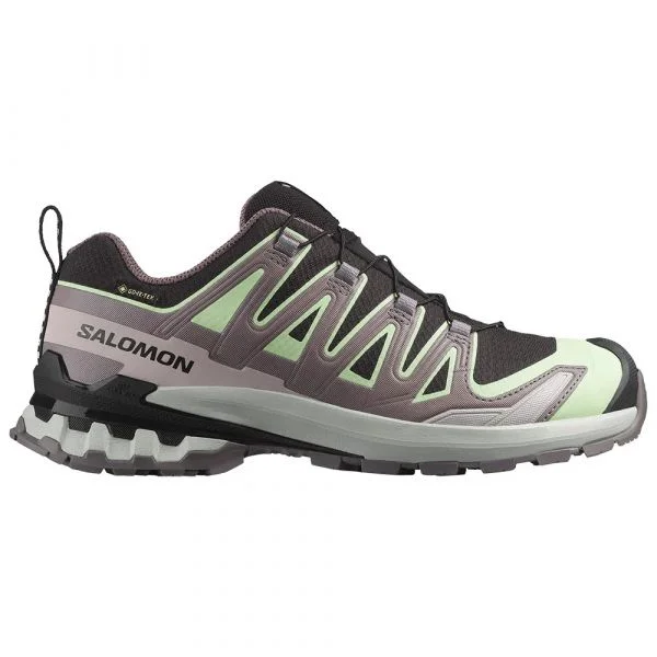 Salomon Sapatilhas de Trail Running Xa Pro 3d V9 Goretex Black / Patina Green / Gray Violet 38 2/3