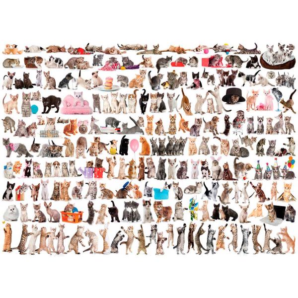 Eurographics Puzzle o Mundo Dos Gatos 1000 Peças
