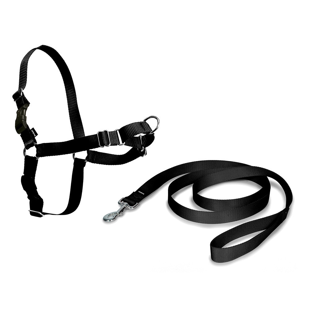 Arnes easy walk médio cor preto