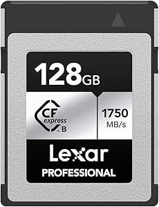 Lexar 256GB Professional Silver Plus SDXC UHS-I U3 V30 205MB/s 150MB/s
