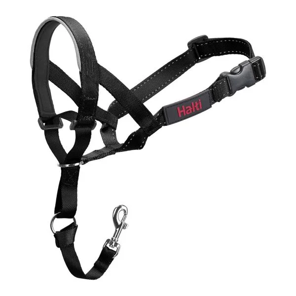 Company of Animals Halti Preto 31-40 cm
