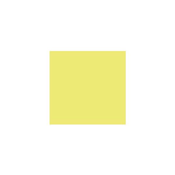 Canson Cartolina 240gr 25Folhas 50x65cm Iris Kiwi 172109818