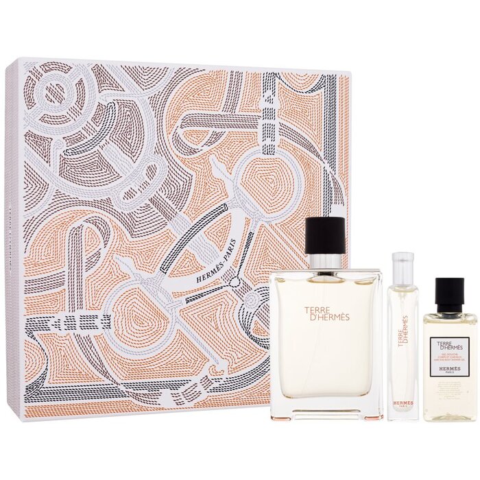 Terre d’Hermes Gift set EDT 100 ml, miniature EDT 15 ml and shower gel 40 ml