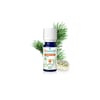 Puressentiel Arvore Do Cha Bio1 Ol10ml sol oral gta