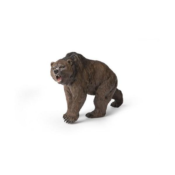Papo Figura Urso Das Cavernas - 55066