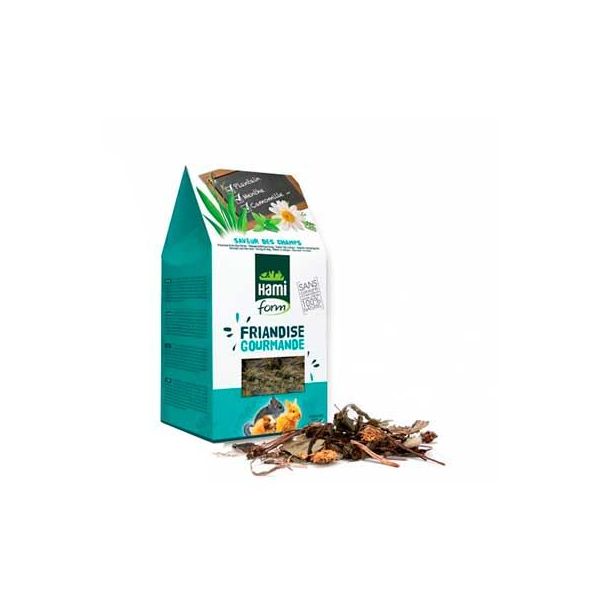 Hami Form Friandises Gourmande Flavor Snack Campo 100 g