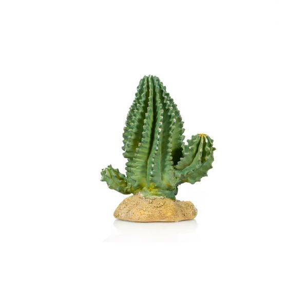 Gigan Terra Cactus 1 Giganterra
