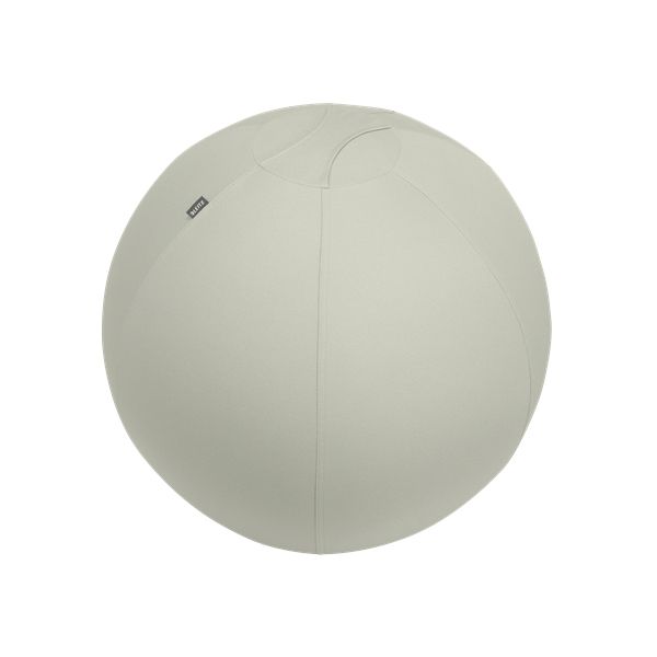 Leitz Bola de Assento Active 65cm Cinza