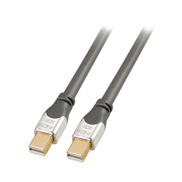 Lindy Mini-displayport para Displayport Cabo Cromo 0.5m
