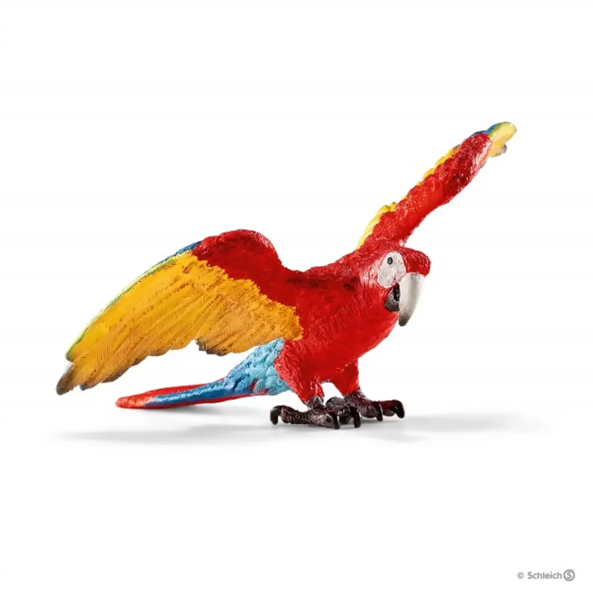 Arara