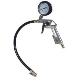 Indicador de pressão Einhell 4137000