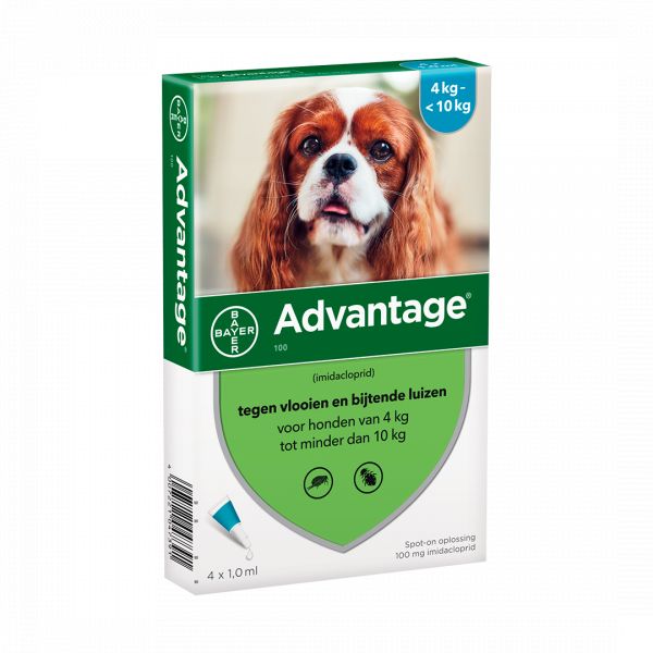 Bayer Advantage 100 Cão 4-10Kg 4 Pipetas