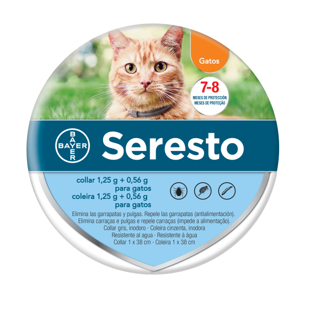 Coleiras desparasitantes para gato