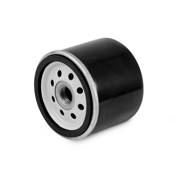MANN-FILTER Filtro de óleo (7/7069) - HU 7012 z