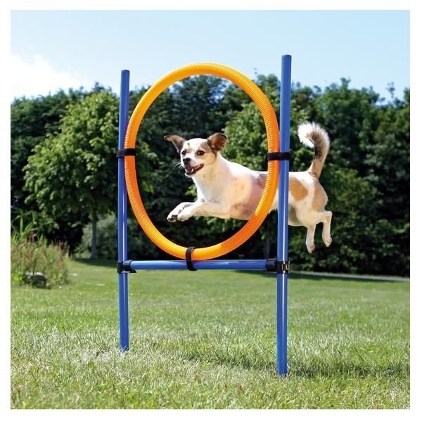 Trixie Anel Agility - TX3208