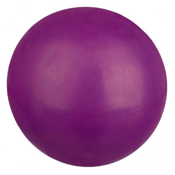 Trixie Brinquedo Cão Bola em Borracha Flutuante