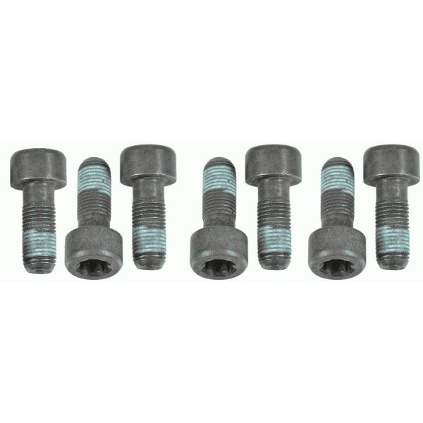 Sachs Service Item Bolt Kit - 1874000054