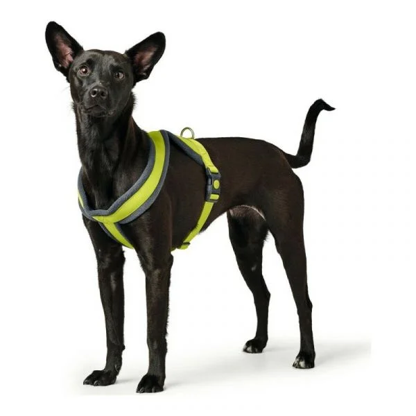Hunter Arnês London Comfort Xs-s 39-47 cm Lima