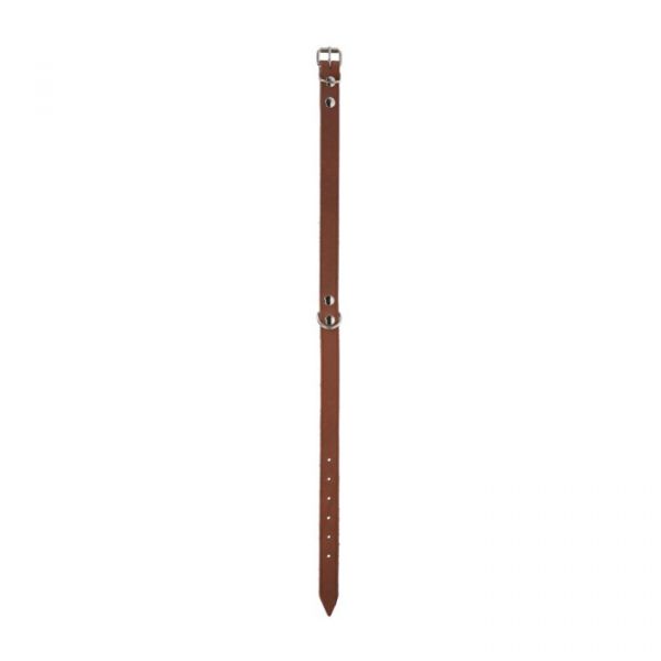 Kerbl Coleira Mexica Cães Taupe 22-28 cm/10 mm