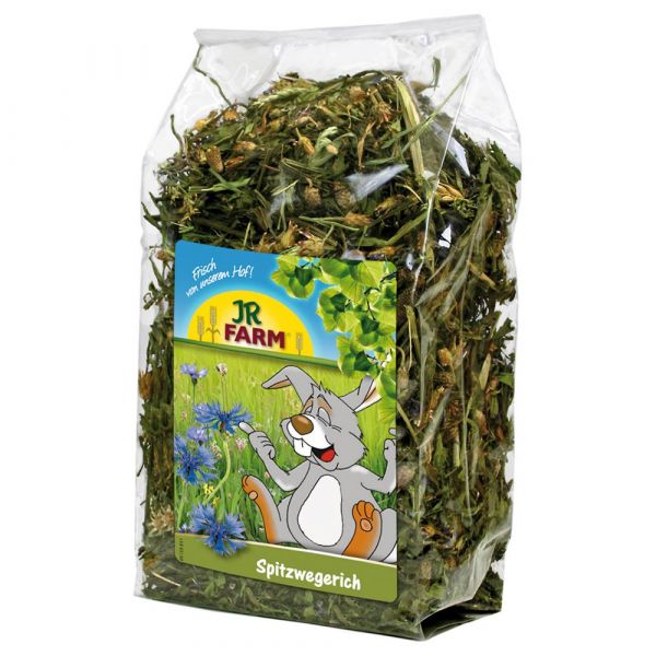 Jr Farm Tanchagem 500 G