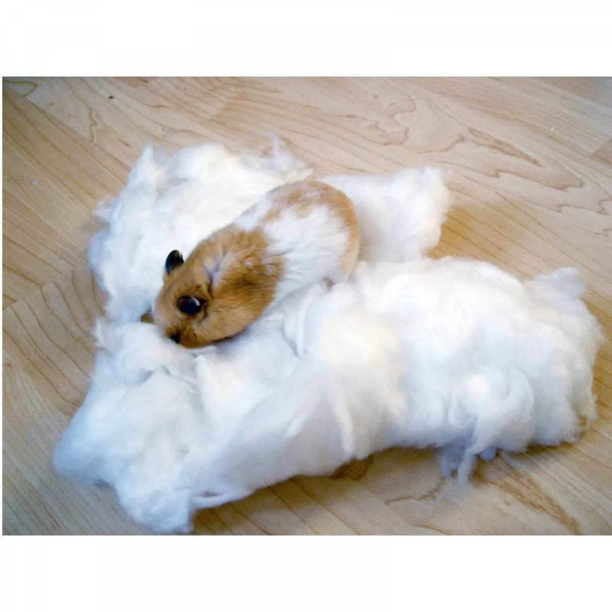 Kerbl Algodão Branco para Hamster - 9832