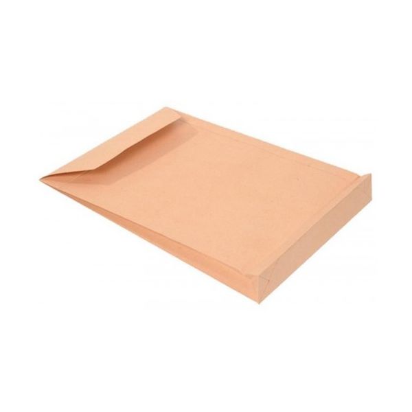 Firmo 250 un. Bolsas Reforçadas C4 Fole 120g 229x324x38mm Kraft - 69196