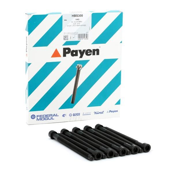 Payen Jogo de Parafusos da Cabeça do Motor HBS300 4044197153558