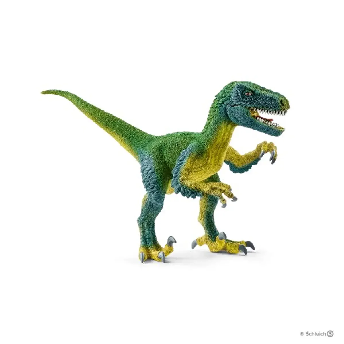 Velociraptor, esverdeado