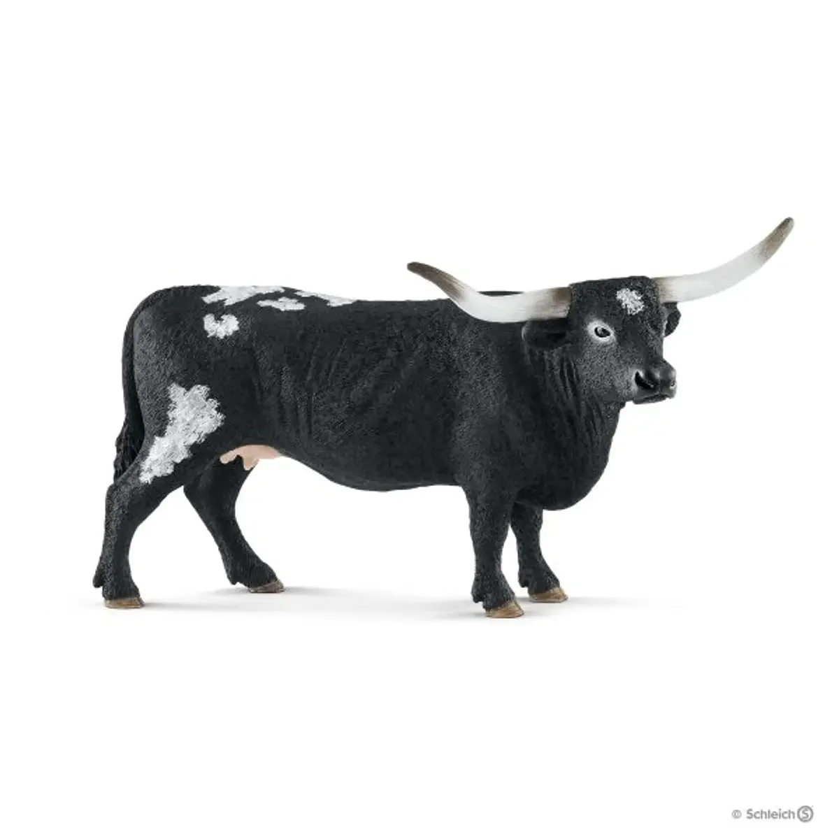 Vaca, Texas Longhorn