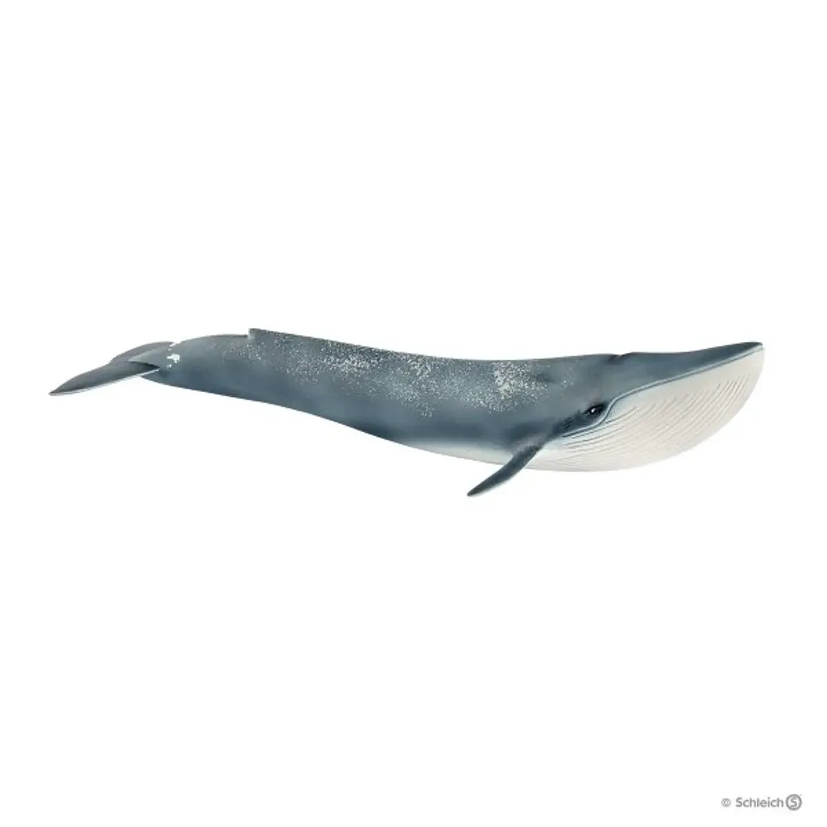 Baleia Azul