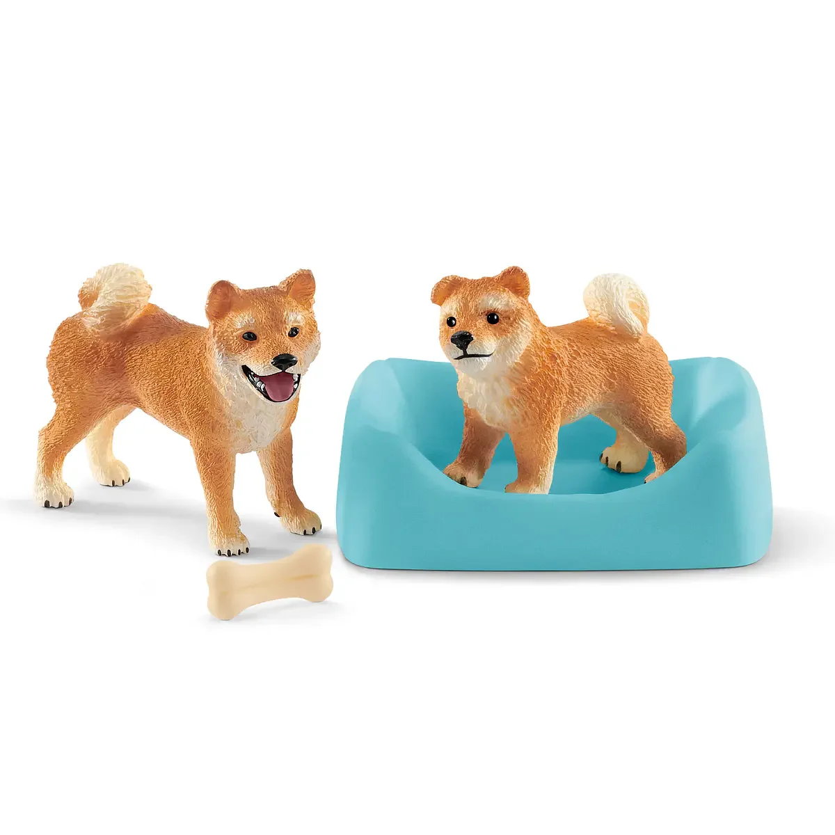 Shiba Inu com cria