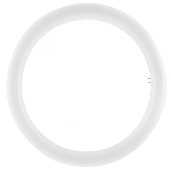 Osram Tubo Circular LED T9 20W 4000K - 82015109