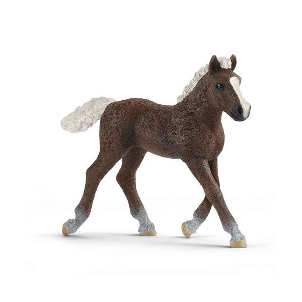 Schleich Farm World 13899 Preto Forest Foal - 13899