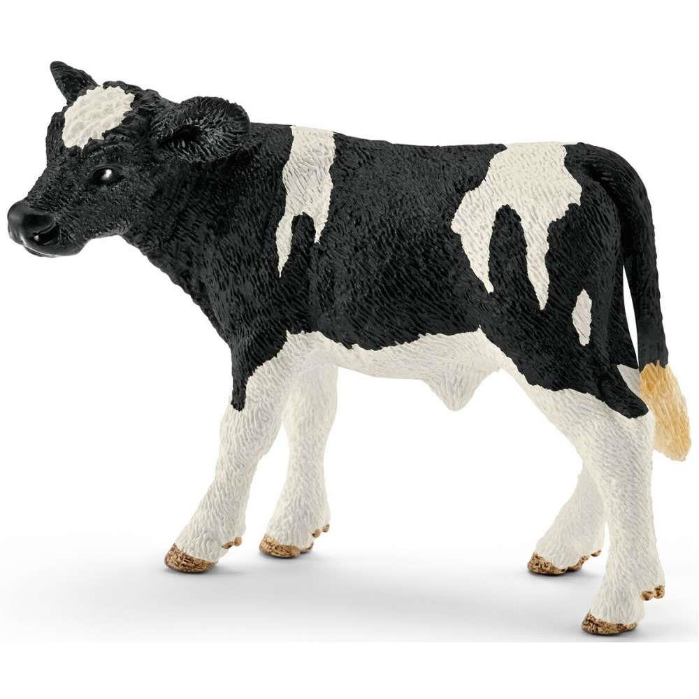 Vitelo Holstein