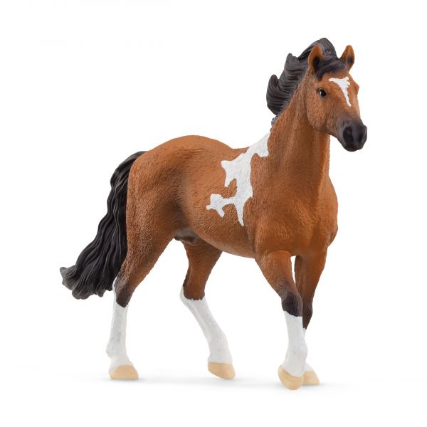 Schleich Horse Club Mangalarga Marchador Hengst - 13978