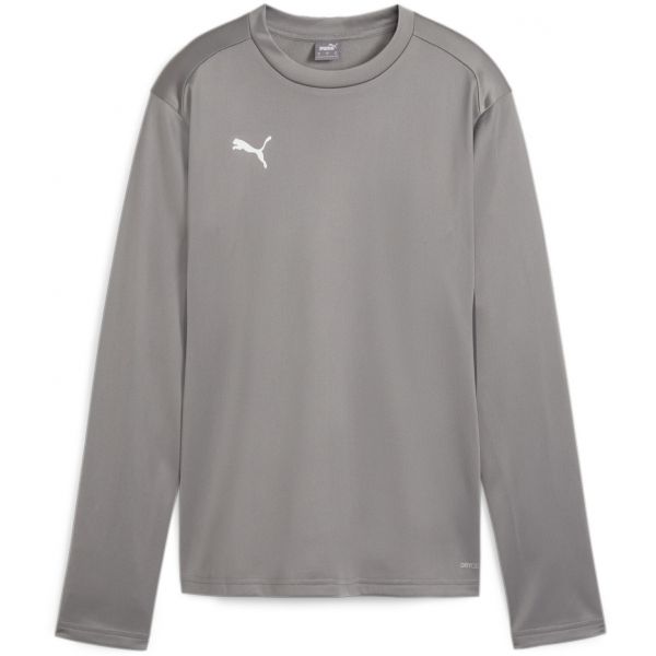Puma Sweatshirt Teamgoal Training Sweat Wmn 658652-13 S Cinzento