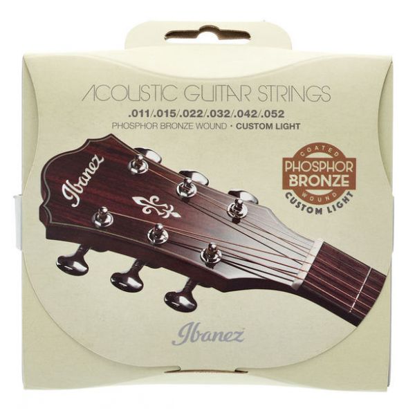 Ibanez IACSP62C Acoustic Steel