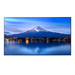 SHARP/NEC MultiSync P556 Design de quiosque 139,7 cm (55") LCD 700 cd/m² 4K Ultra HD Preto Processador built-in