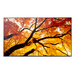 Sharp MultiSync PN-M752 189,2 cm (74.5") LED 550 cd/m² 4K Ultra HD Preto 24/7