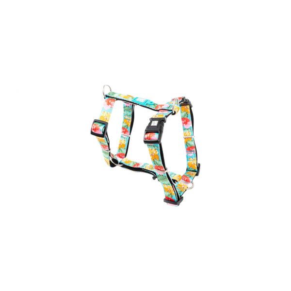 Max & Molly Peitoral Exotique S