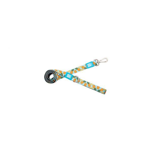 Max & Molly Trela Pineapple S