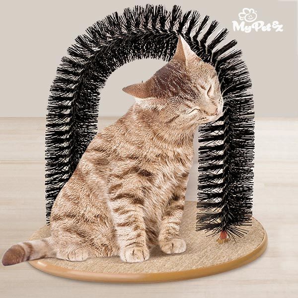 Arco Massajador Gato - 068-344:04271