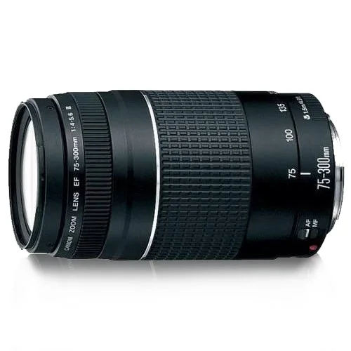 Objetiva Canon EF 75-300mm F4-5.6 III