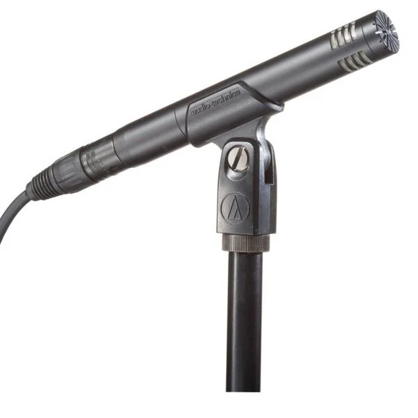 Audio-Technica AT2031 Cardioid Condenser Microphone