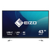 EIZO FlexScan EV4340X-BK LED display 108 cm (42.5") 3840 x 2160 pixels 4K Ultra HD Preto