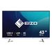 EIZO FlexScan EV4340X-WT LED display 108 cm (42.5") 3840 x 2160 pixels 4K Ultra HD Branco