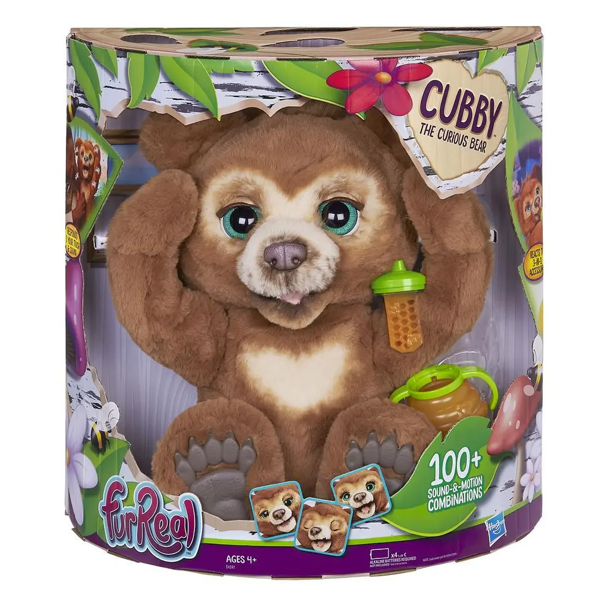 Urso Cubby