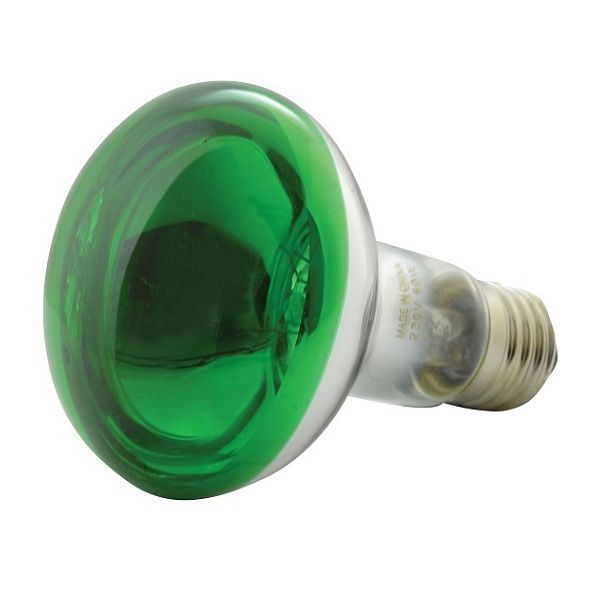 QTX Lampada E27 60W 230Vac R80 Verde 160004