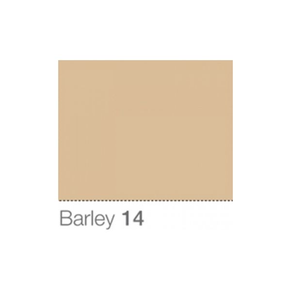 Colorama Fundo de Estúdio Barley 1.35 x 11m