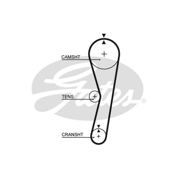 Gates 5127 - Correia dentada - 5412571004069